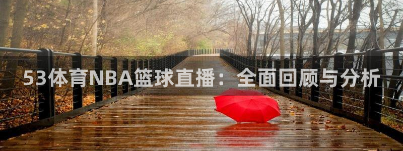 53体育NBA篮球直播：全面回顾与分析