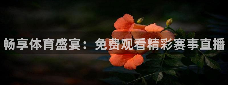 畅享体育盛宴：免费观看精彩赛事直播